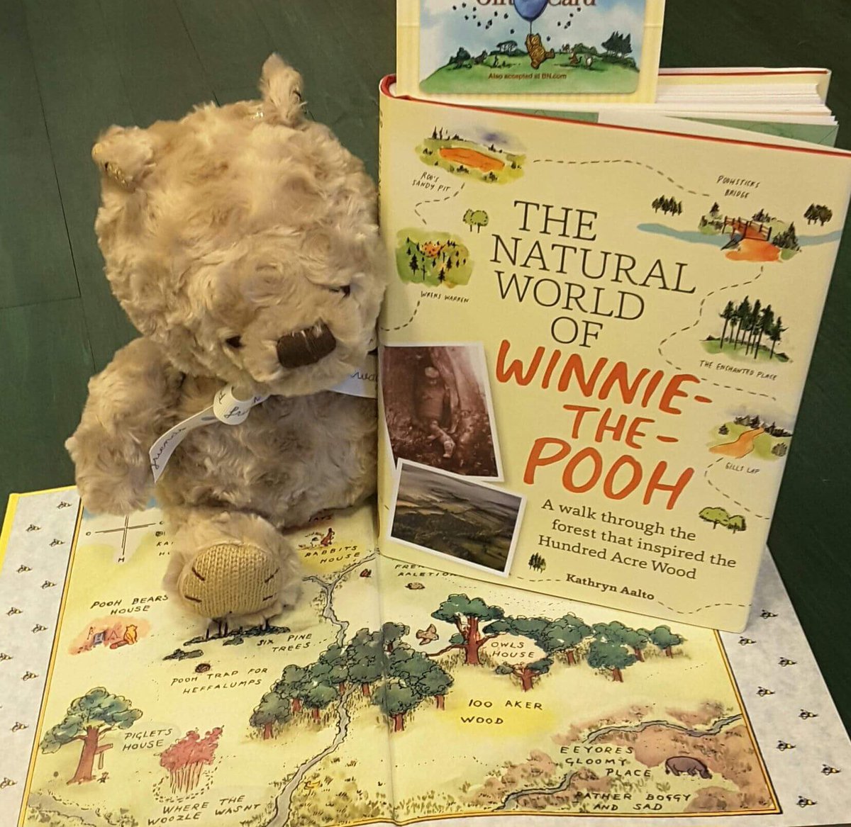 The Natural World of Winnie-the-Pooh: A Presentation by Kathryn Aalto